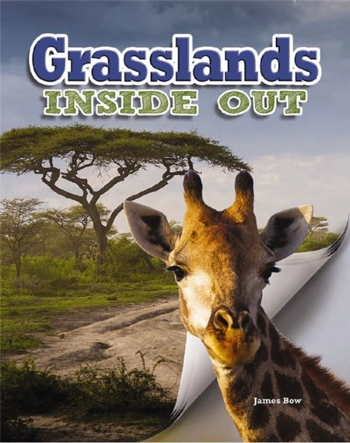 Inside Out Grasslands