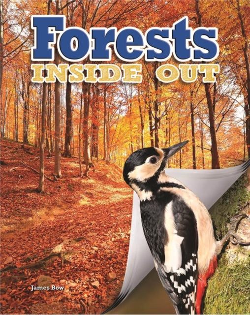 Inside Out Forests