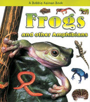 Frogs And Other Amphibians