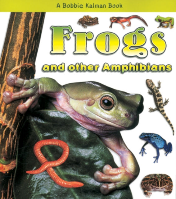 Frogs And Other Amphibians