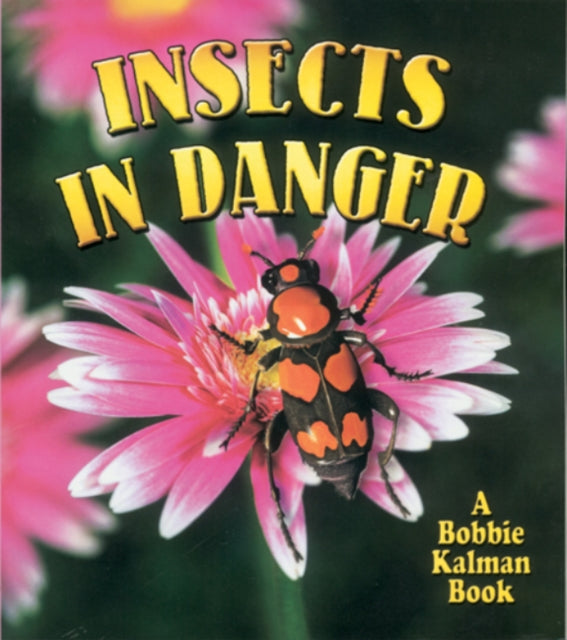 Insects In Danger