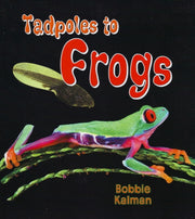 Tadpoles To Frogs
