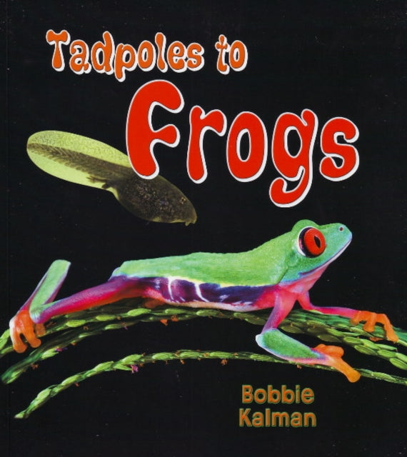 Tadpoles To Frogs
