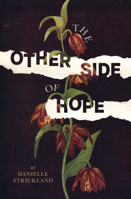 Other Side Of Hope Rediscover Your Human