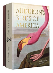 Audubons Birds Of America Notecard Set
