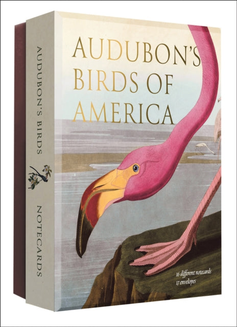 Audubons Birds Of America Notecard Set