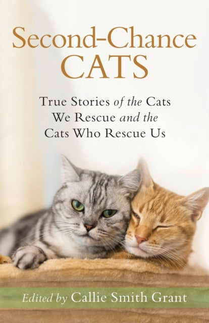 Second Chance Cats