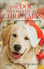 Dog Who Came To Christmas