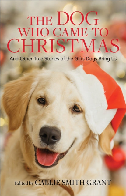 Dog Who Came To Christmas