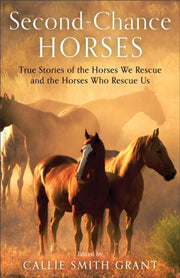 Secondchance Horses