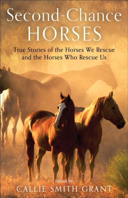 Secondchance Horses