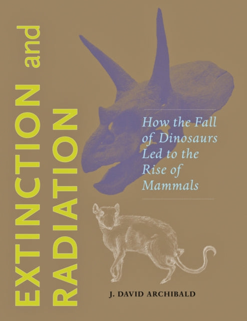 Extinction And Radiation How The Fall O