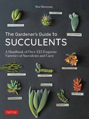 Gardeners Guide To Succulents
