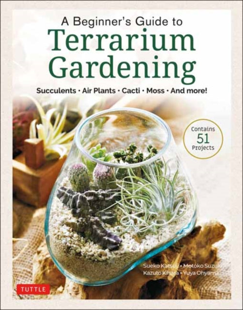 Beginners Guide To Terrarium Gardening