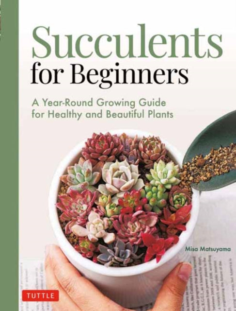 Succulents For Beginners