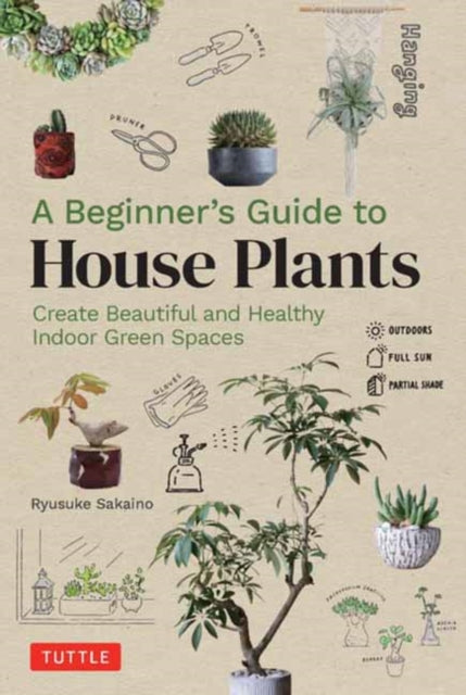 Beginners Guide To House Plants