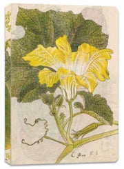 Yellow Melon Paperback Journal Lined Not