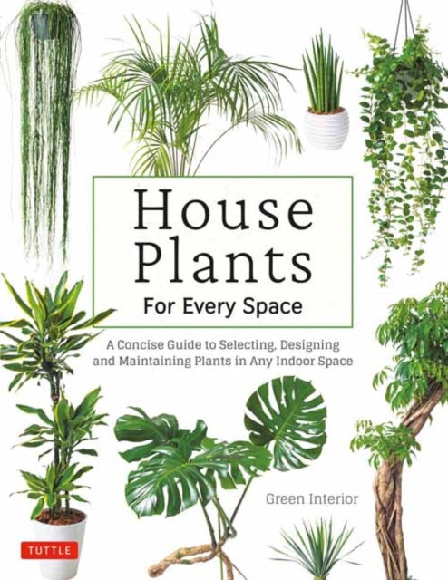 House Plants For Every Space