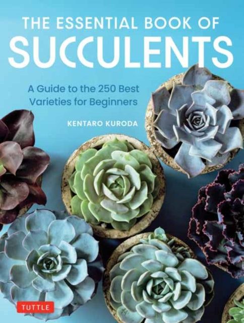 Essential Book Of Succulents