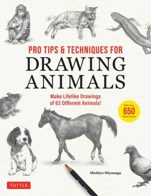 Pro Tips & Techniques/drawing Animals By Miyanaga, Michiyo