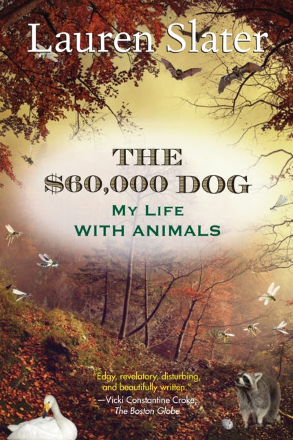 60 000 Dog