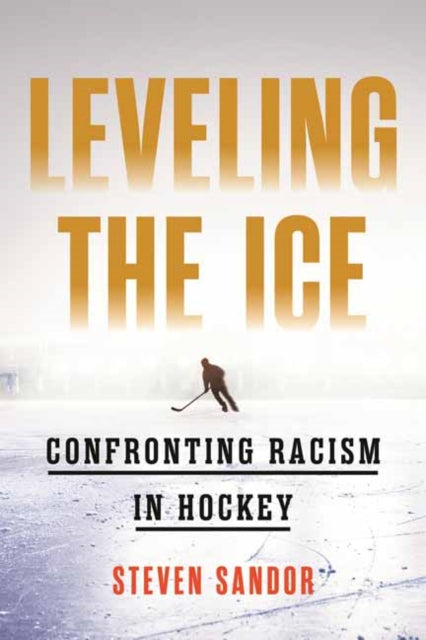 Leveling The Ice By Sandor, Steven