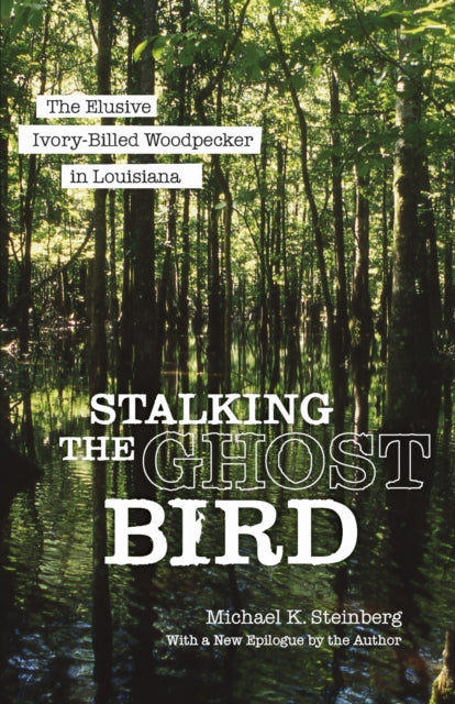 Stalking The Ghost Bird