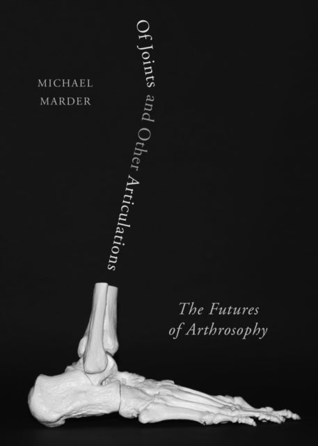 Of Joints & Other Articulations