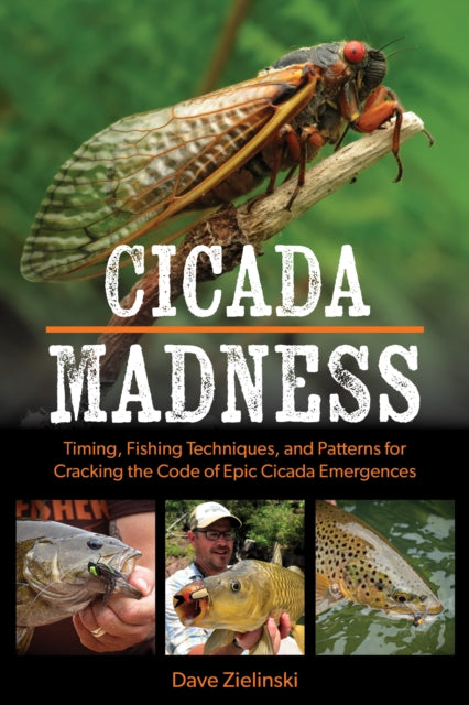Cicada Mania