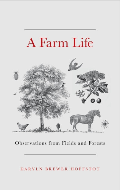 A Farm Life : Observations From Fields A By Hoffstot, Daryln Bre