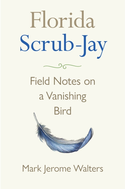 Florida Scrubjay