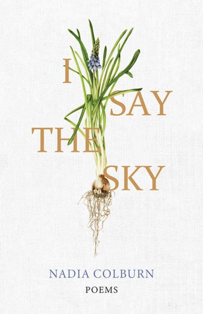 I Say The Sky