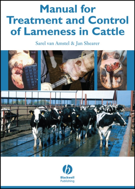 Manual Treatment Control Lameness Cattle