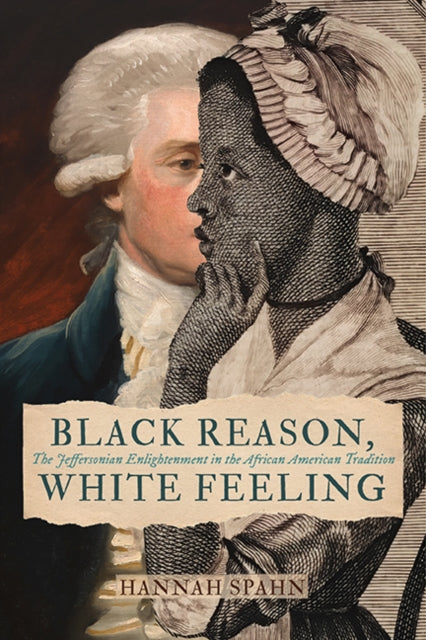 Black Reason White Feeling
