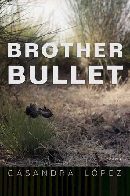 Brother Bullet Poems By L Pez , Casandra