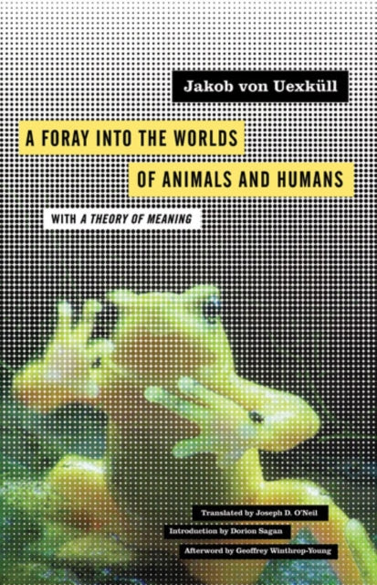 Foray Into The Worlds Of Animals And