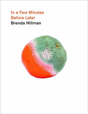 In A Few Minutes Before Later By Brenda Hillman