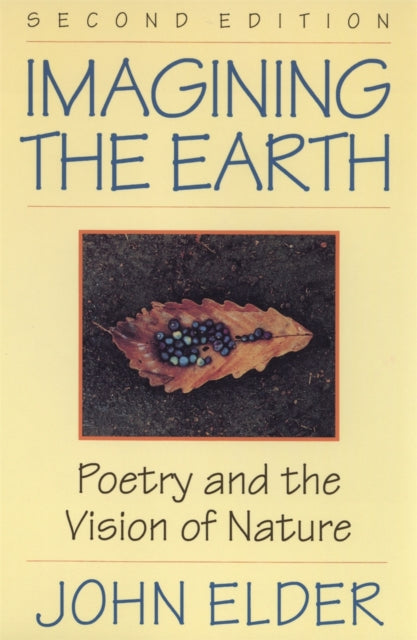 Imagining The Earth: Poetry And The Visi