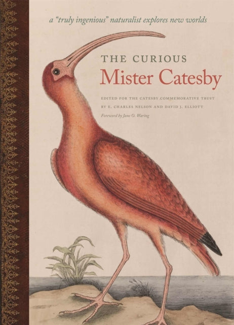 Curious Mister Catesby A Truly Ing
