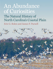 An Abundance Of Curiosities