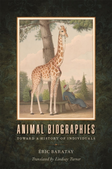 Animal Biographies By Baratay   Turner