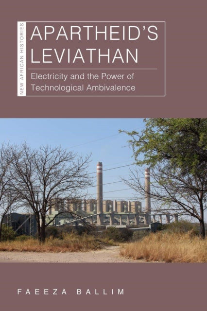 Apartheids Leviathan