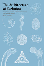 Architecture Of Evolution