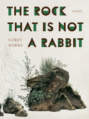 Rock That Is Not A Rabbit