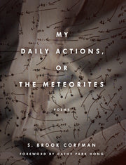 My Daily Actions Or The Meteorites