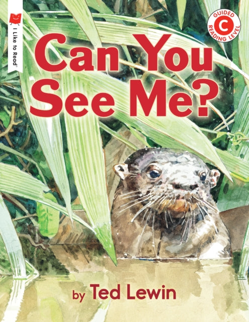 Can You See Me By Lewin, Ted