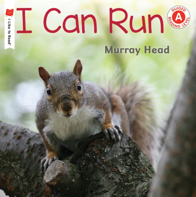I Can Run By Head, Murray