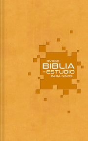 Rvr60 Biblia De Estudio Pa Hb By Rvr 1960  Reina Vale