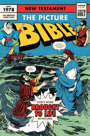 Picture Bible New Testament The