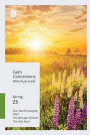 Faith Connections Adult Bible Study Guid